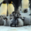 ペンギンを観察するペンギン・ロボット