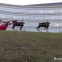 ギリギリですが。クリスマスのロボット・ビデオ